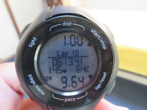 ＧＡＲＭＩＮ心拍数