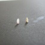 【ゆうこん堂】の逆子のお灸が「ママンペール」で紹介されました!