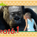 鍼灸院からの年賀状廃止を決定しました