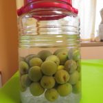 昼休憩時間に畑仕事を楽しんでいます