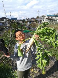 生活スタイルの大幅な転機が求められた今、兼業農家も良いかもね