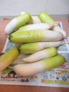 鍼灸師・農家に加えてもう一つ二つ何かやってみたいのだ