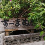 南の島でリフレッシュして来ました、今日からお仕事再開してます