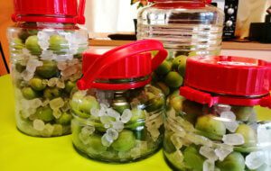 コロナの影響は甚大だけど、かなり前向きに生きてます