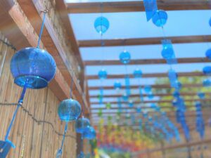 年寄りはHPなんて観ないし、人の言う事は聞いていない