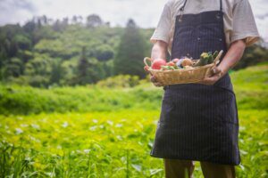 畑仕事に力を入れる