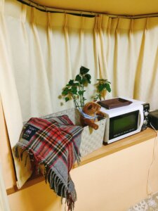 院内美化宣言（クリーンアップ）