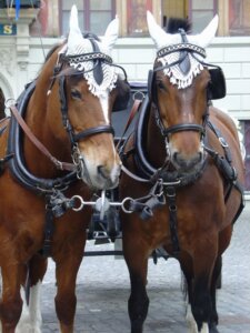 馬車馬のように働く鍼灸院