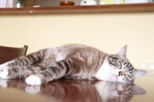 instagramは反応が無い